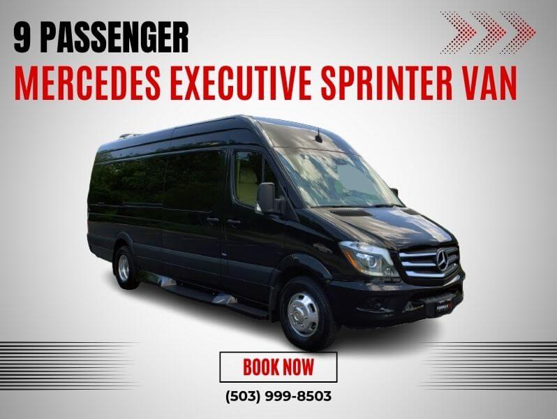 Mercedes Executive Sprinter Van