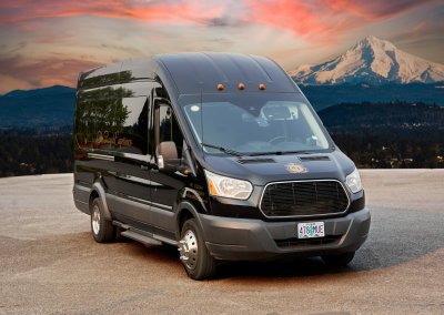 Wine and Brewery Tours 10-12 Passenger Ford Transit Party Van