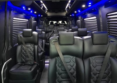 Wine and Brewery Tours 9 Passenger Mercedes Sprinter Executive Coach Van