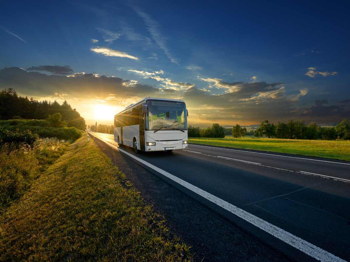 Wine and Brewery Tours Charter Bus Seating Capacity: A Comprehensive Guide